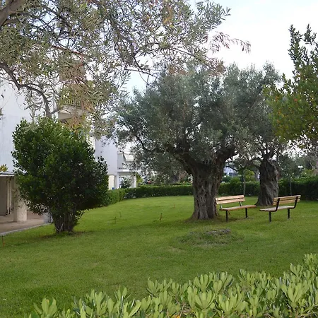 Mitzis