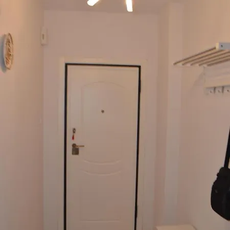 Mitzis *