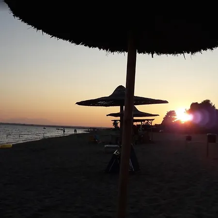 Mitzis גראקיני